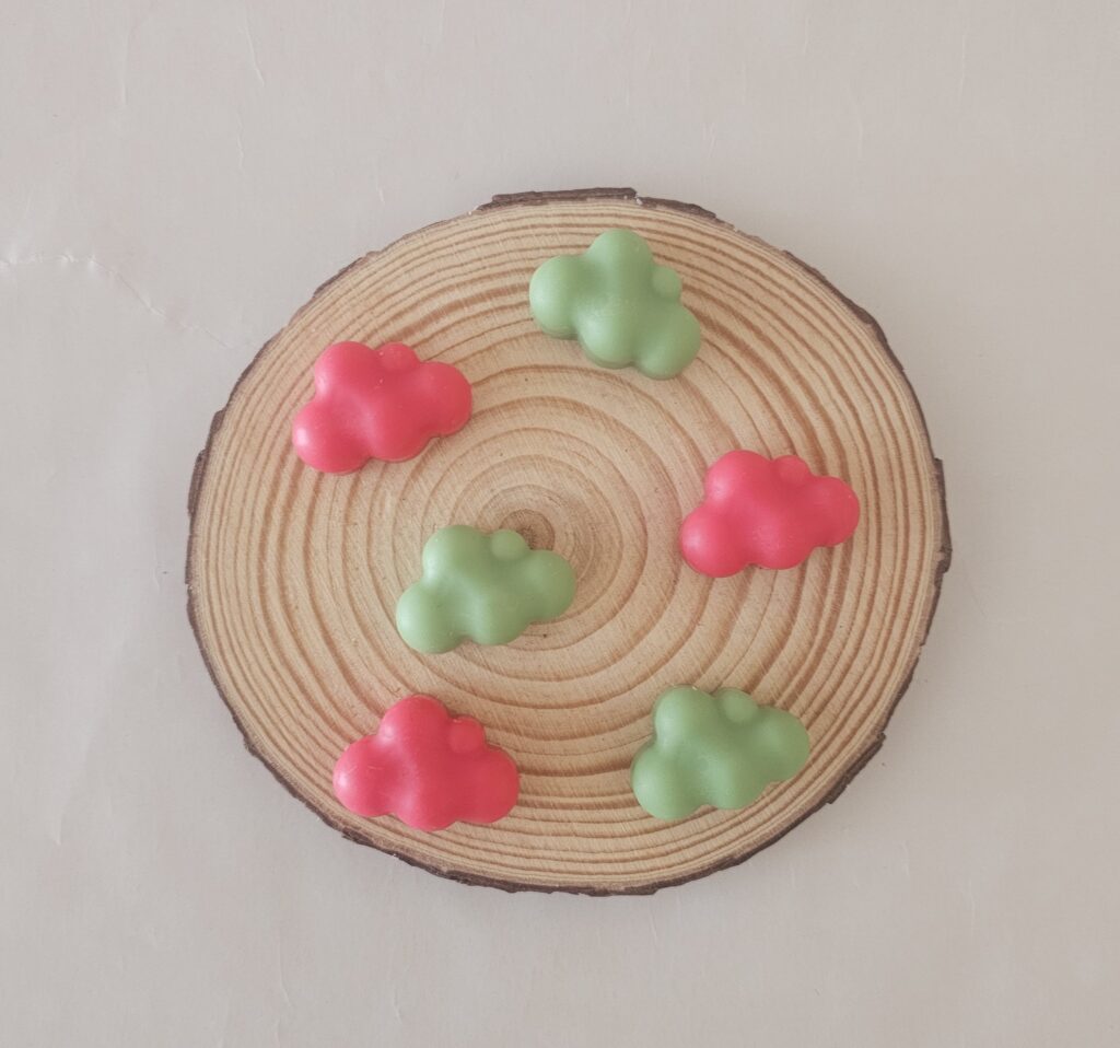 Wax melts chuche de sandía
