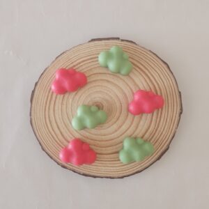 Wax melts chuche de sandía