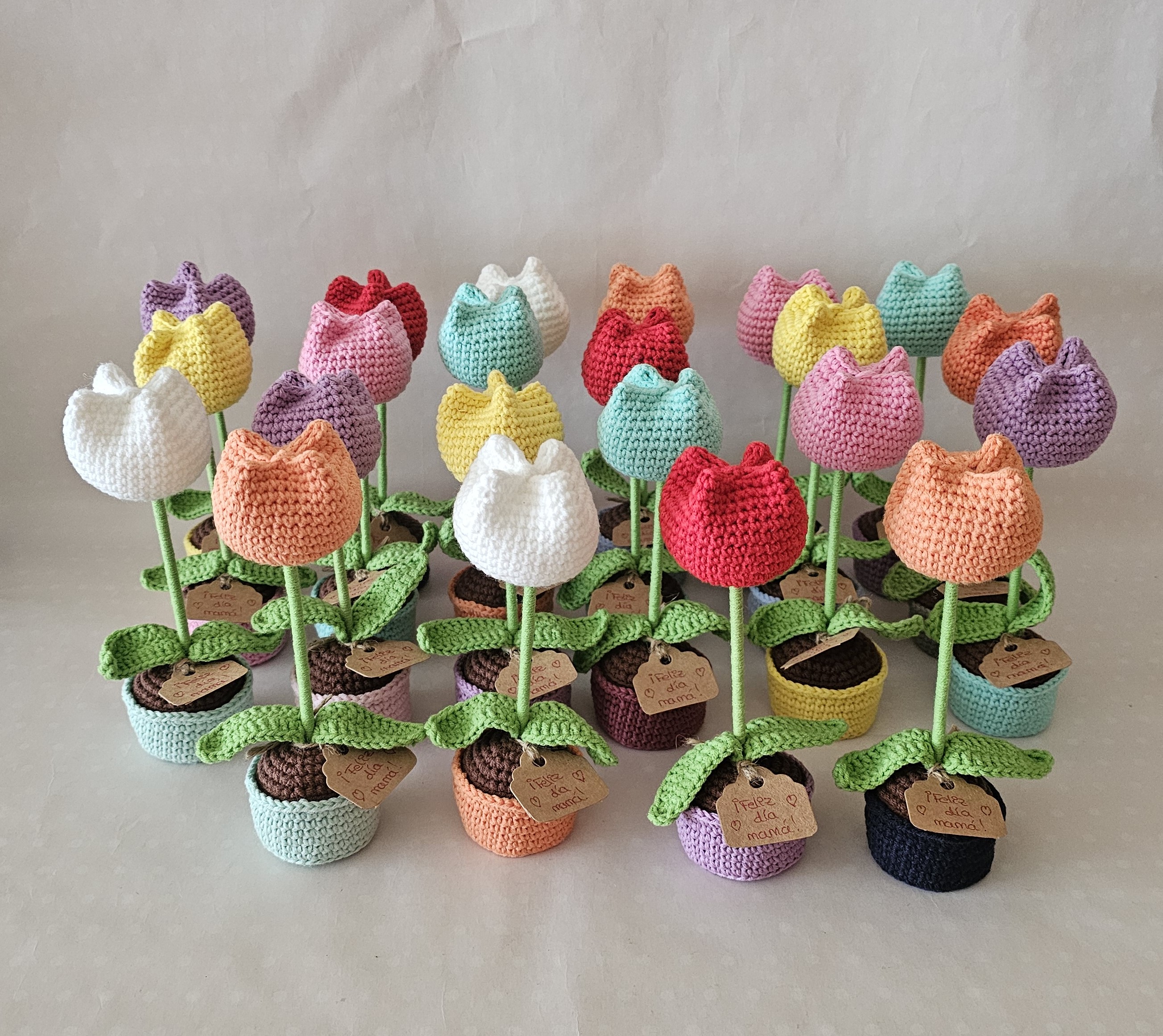 Macetas tulipanes